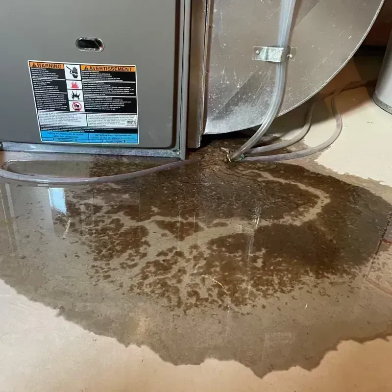 Appliance Leak Cleanup in Steeleville, IL